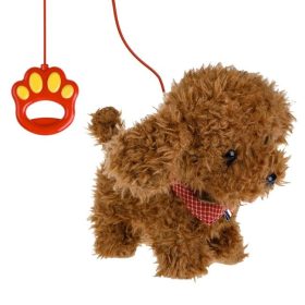 Interaktív Barna Uszkár Pórázzal – Jár és Ugat