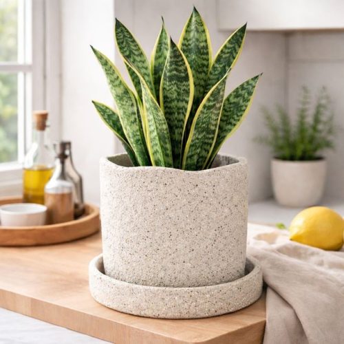 Bézs Kerámia Kaspó Alátéttel, Hullámos Szegéllyel - 18,2x15,6 cm