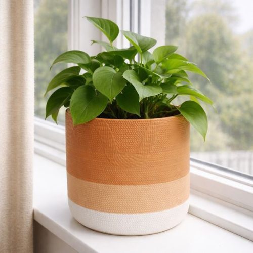 Terrakotta Kerámia Kaspó Csíkos Mintával - Ø14x12,5 cm - 1,3L