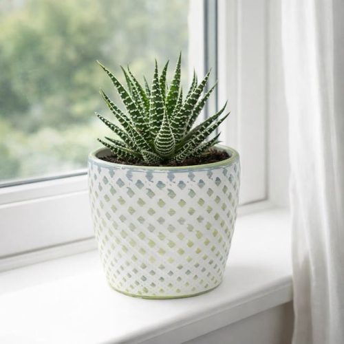 Kerámia Kaspó Rombusz Mintával - Fehér és Lime Zöld, 10x8cm