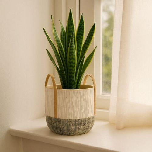 Ecru Bézs Kerámia Kaspó Dombornyomott Mintával és Fogantyúkkal - Ø17x15cm