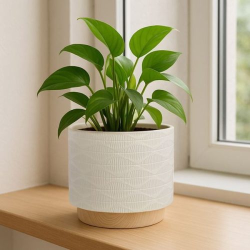 Ecru Kerámia Kaspó Dombornyomott Mintával Ø12x12cm - 0.8L