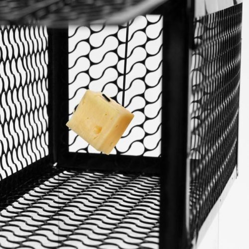 Fém Rágcsálócsapda, Fekete, 23x11x11 cm