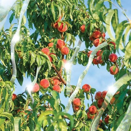 Irizáló madárriasztó szalag, 35 m x 5 cm