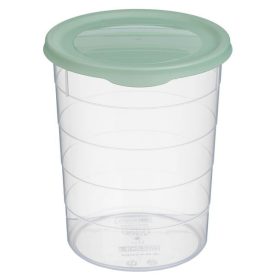 Átlátszó Ételhordó Doboz Menta Zöld Fedéllel - 1,1L