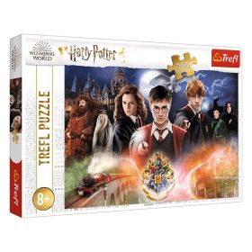 Harry Potter karakterek puzzle (300 db-os) - Trefl
