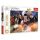 Harry Potter karakterek puzzle (300 db-os) - Trefl