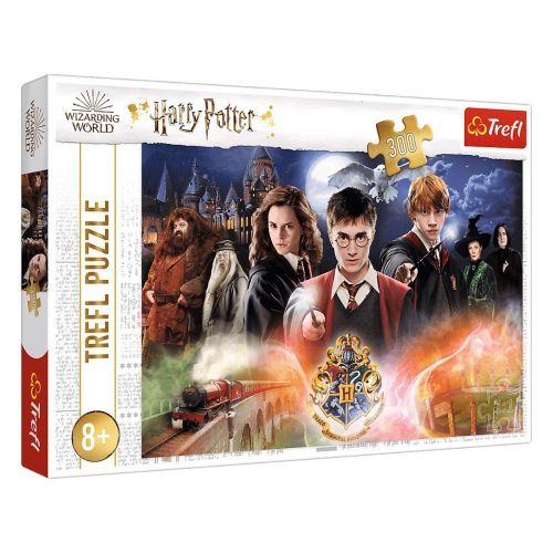 Puzzle- Harry Potter (300 darab)
