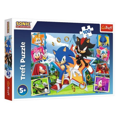 Sonic Puzzle (100 darabos) - Trefl